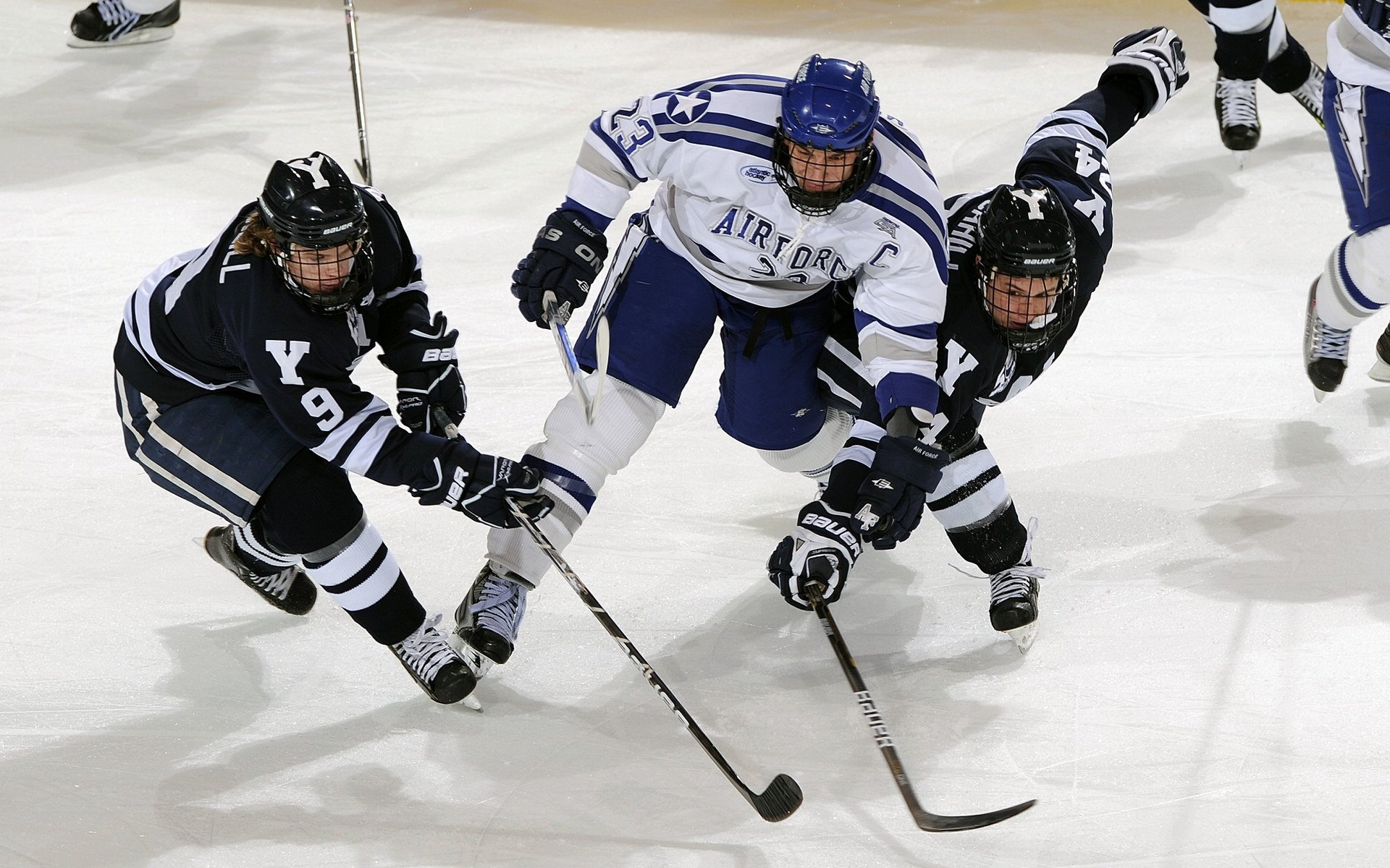 新西兰女子橄榄球队迎来历史性突破，国际赛事表现出色，新西兰橄榄球女运动员